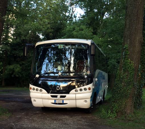 Bus al matrimonio